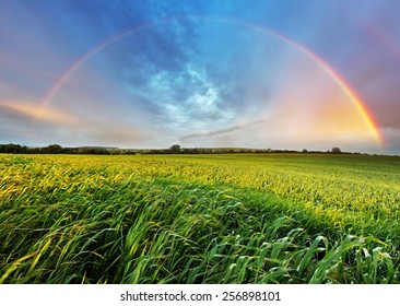 natural rainbow wallpapers