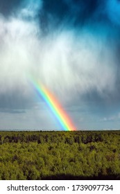 9 903件の 雨上がり 虹 の画像 写真素材 ベクター画像 Shutterstock