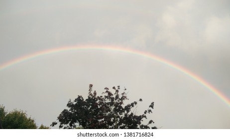 A Rainbow Over Trees Derbyshire