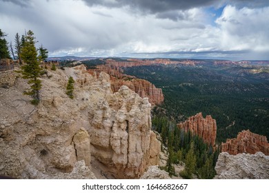 Rainbow Point In The Bryce Canyon National Park In Utah In The Usa