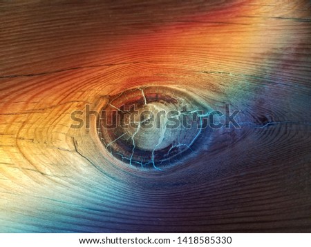 Similar – kiwi Rainbow Refraction