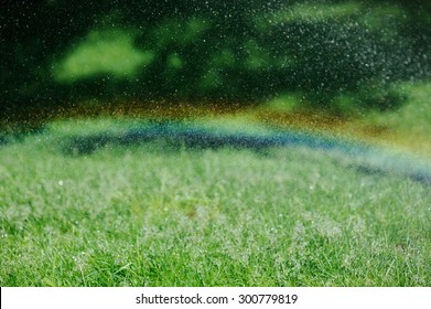 Rainbow In The Rain On Grass