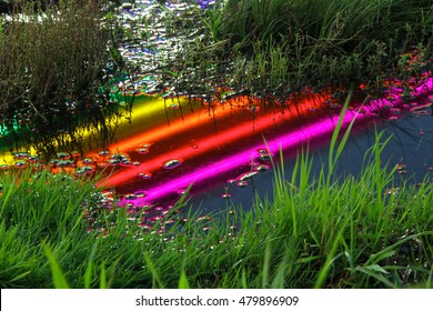 Rainbow Reflection In The Puddle. Grass Puddle Reflection Of Neon Light