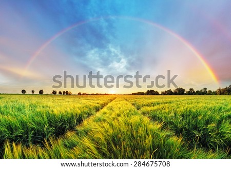 Rainbow Rural landscape with wheat field on sunset