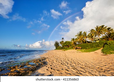 rainbow scenic view over the popular surfing place Sunset Beach, North Shore, Oahu, Hawaii, USA