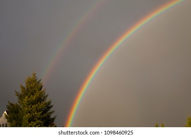 Rainbow at the sky