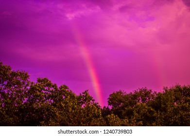 rainbow in the sky