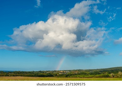 A Rainbow in the Sky