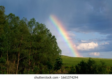 rainbow in the sky above the trees