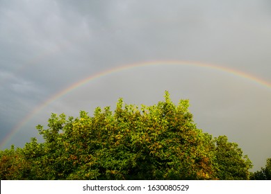 9 903件の 雨上がり 虹 の画像 写真素材 ベクター画像 Shutterstock