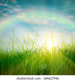 Rainbow And Spring Green Grass And Sun On Blue Sky Background