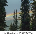 Rainbow Through The Trees