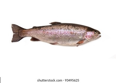 虹鱒 の画像 写真素材 ベクター画像 Shutterstock