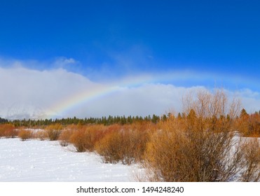 A rainbow in the winter