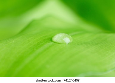 Raindrop close-up