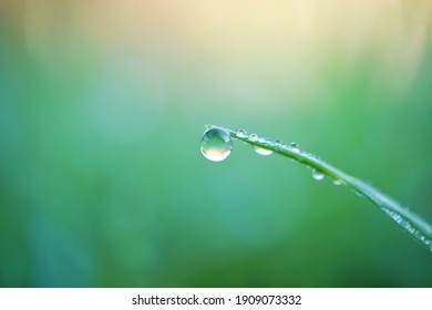 Raindrop On The Grass Leaf In Rainy Days