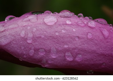 raindrops