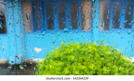 Raindrops are collecting and streaming down a window.