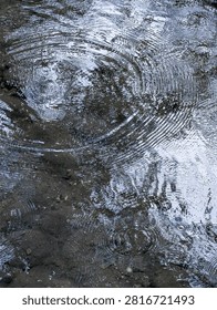 Raindrops create circular ripples across the surface of a shallow stream.