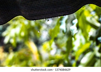 Raindrops Falling Down From The Roof