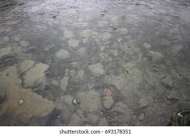 Raindrops falling on a still puddle