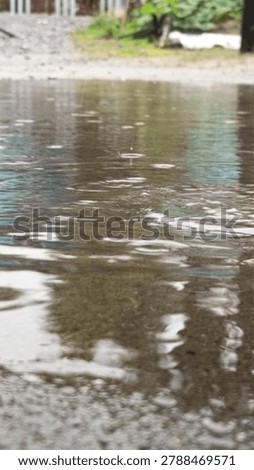 Raindrops Falling on Water Surface Creating Circular Ripples