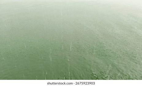 Raindrops falling and touching water surface creating ripples, refreshing natural scene, calm rainy day, peaceful nature background and relaxing concept. 