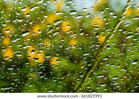 Raindrops mirror in car ,Abstract blurred flowers yellow background.