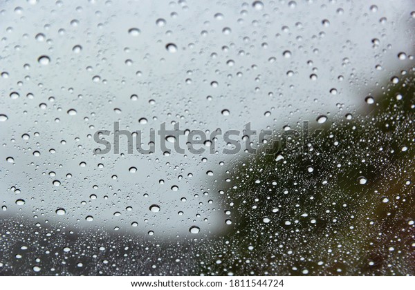 raindrops on car\
window with background\
trees