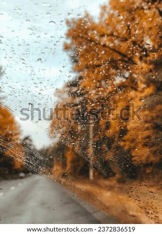 Raindrops on the car window in the fall forest