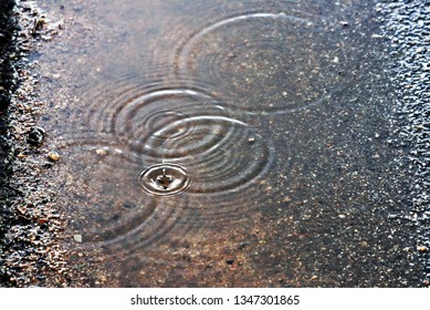 Raindrops on Puddle