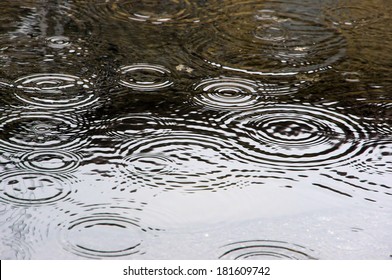 Raindrops On Puddle On Rainy Day