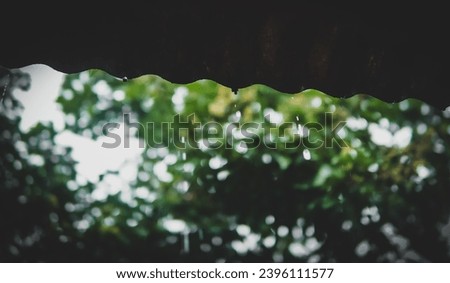 raindrops on the roof with trees in the background