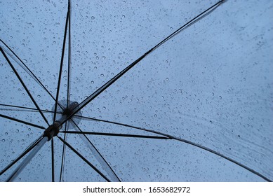 Raindrops On See Through Umbrella