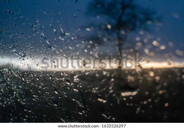 Raindrops on the side window of the car against the\
background of the sunset and the silhouette of a tree, a photo from\
inside the car