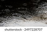 Raindrops on the surface of the puddle. Abstract background.