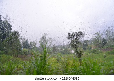 Raindrops on window with green nature view during day time