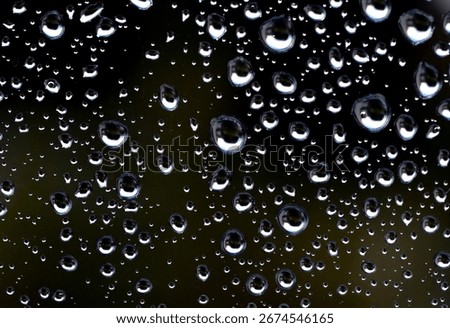 Raindrops on a window pane