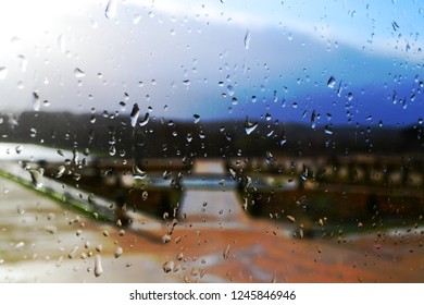 Raindrops on the window pane. Blurred view of the garden.