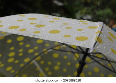 Raindrops On A Yellow Polka Dot Umbrella.