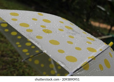 Raindrops On A Yellow Polka Dot Umbrella.