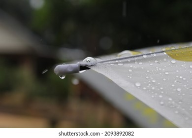 Raindrops On A Yellow Polka Dot Umbrella.