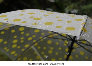 Raindrops On A Yellow Polka Dot Umbrella.