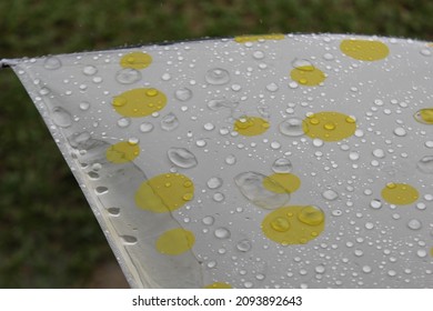 Raindrops On A Yellow Polka Dot Umbrella.