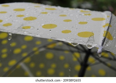 Raindrops On A Yellow Polka Dot Umbrella.