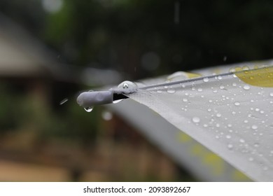 Raindrops On A Yellow Polka Dot Umbrella.