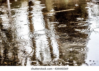 Raindrops In A Puddle