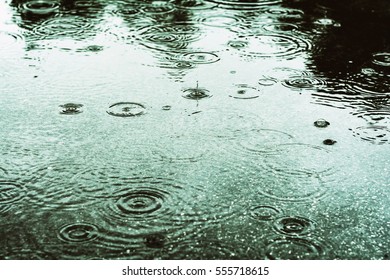 Raindrops In A Puddle