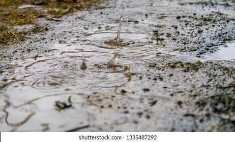 raindrops in a puddle close up