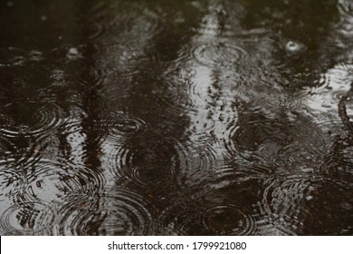 raindrops in a puddle outside